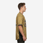 Personalized Baseball Jersey in Pale Brown - Custom Pinstripe Sublimation Print Team Jersey