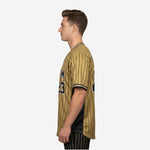 Personalized Baseball Jersey in Pale Brown - Custom Pinstripe Sublimation Print Team Jersey