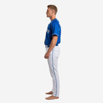 Custom Baseball Team Uniform in Blue/White - Jersey & Pants Custom Name Number Set