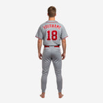 Custom Baseball Team Uniform in Gray - Jersey & Pants Custom Name Number Set