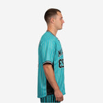 Custom Baseball Jersey - Pinstripe Full Button Jersey Team Name & Number