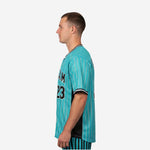 Custom Baseball Jersey - Pinstripe Full Button Jersey Team Name & Number