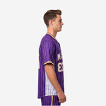 Custom Baseball Jersey in Purple - Pinstripe Full Button Jersey Team Name & Number
