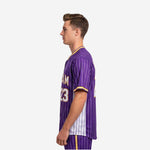 Custom Baseball Jersey in Purple - Pinstripe Full Button Jersey Team Name & Number
