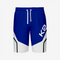 Custom Wrestling Regular Shorts in Blue