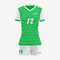 Team Ready Custom Paris Green Volleyball Uniform Set